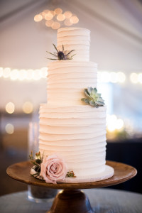mikkelpaige-raleigh_wedding_photographer-merrimon_wynne_bridal_expo-jan_2015-web_res-45