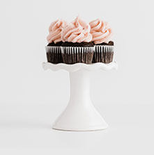 the cupcake shoppe raleigh -Mini-Cupcakes28a