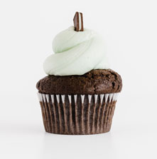 the cupcake shoppe raleigh -Mint-Condition